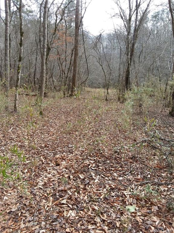 999 South Wilson Hill Road Mill Spring, NC 28756 - Photo 4 of 26 a view of empty space with trees