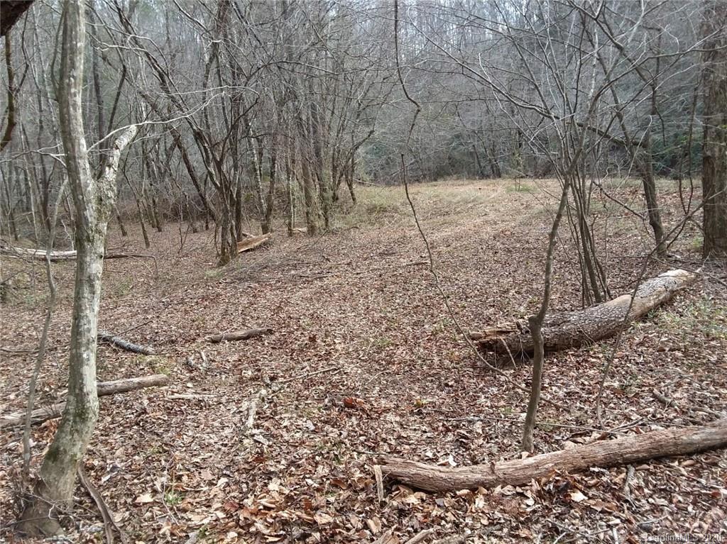 999 South Wilson Hill Road Mill Spring, NC 28756 - Photo 5 of 26 a view of a yard with wooden fence