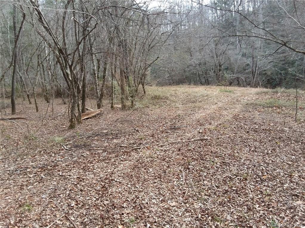 999 South Wilson Hill Road Mill Spring, NC 28756 - Photo 6 of 26 a view of yard