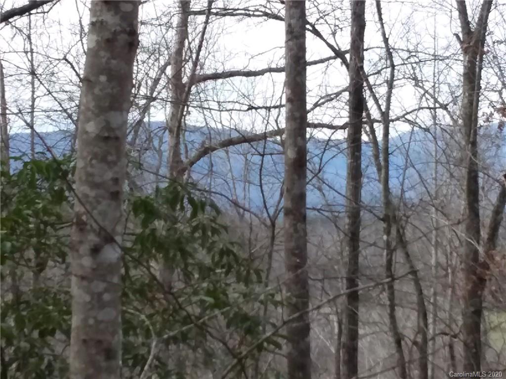 999 South Wilson Hill Road Mill Spring, NC 28756 - Photo 7 of 26 a view of a backyard of the house