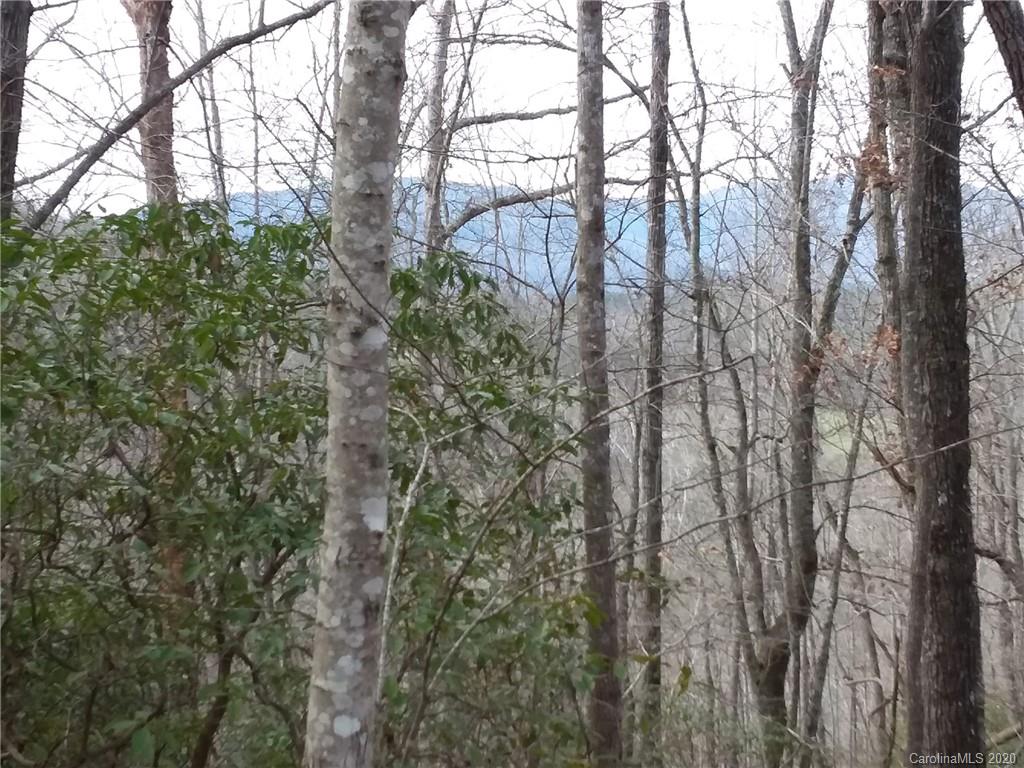 999 South Wilson Hill Road Mill Spring, NC 28756 - Photo 8 of 26 a view of forest