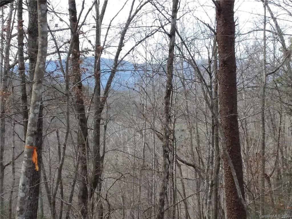 999 South Wilson Hill Road Mill Spring, NC 28756 - Photo 9 of 26 a view of forest
