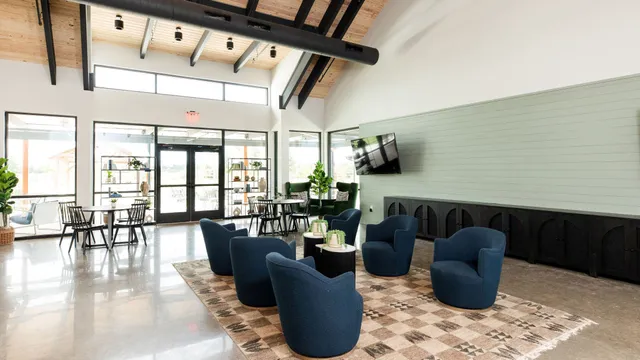 a living room with furniture and a potted plant