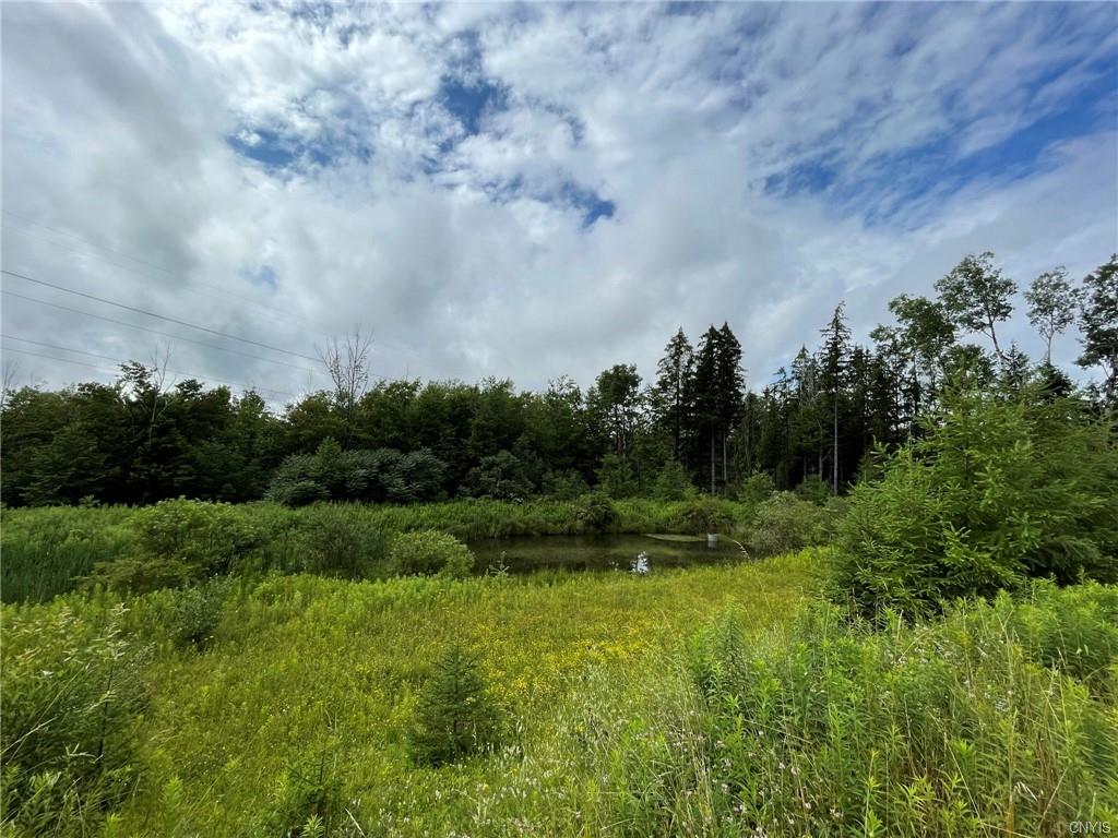 2375 Clute Road Cortland, NY 13045 - Photo 10 of 12 Gallery Image 10