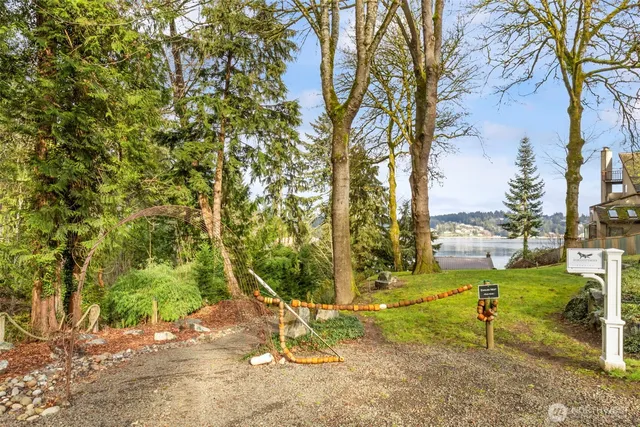 a view of backyard with tree