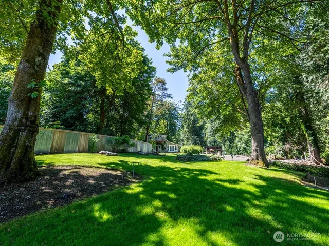 a view of a park with large trees