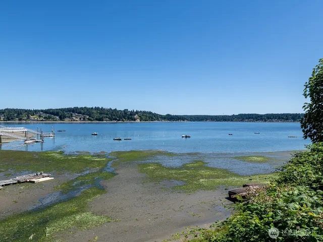 a view of a dry yard with wooden fence