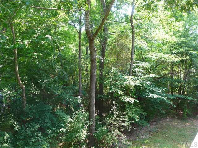 534 Bluestone Road Durham, NC 27713 - Photo 24 of 25 Back Yard