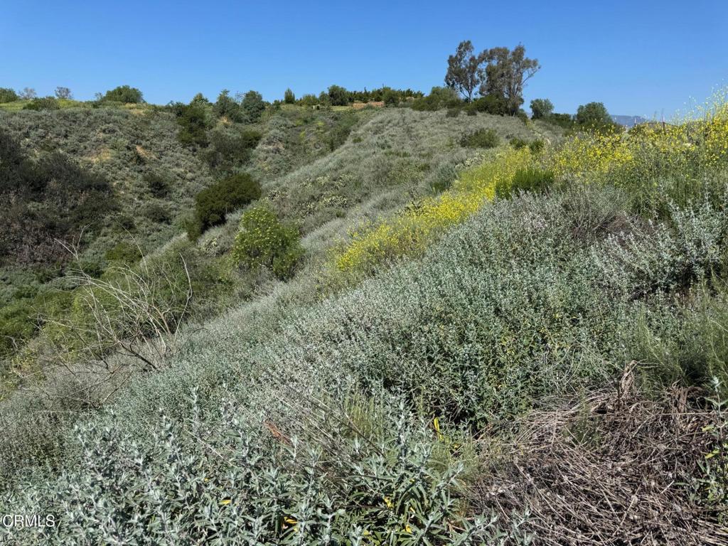 7907 Balcom Canyon Road Somis, CA 93066 - Photo 36 of 41 IMG_9624