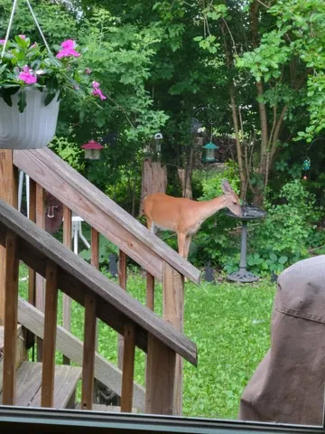 $155,000 | 406 21st Street, Jackson, MI 49203