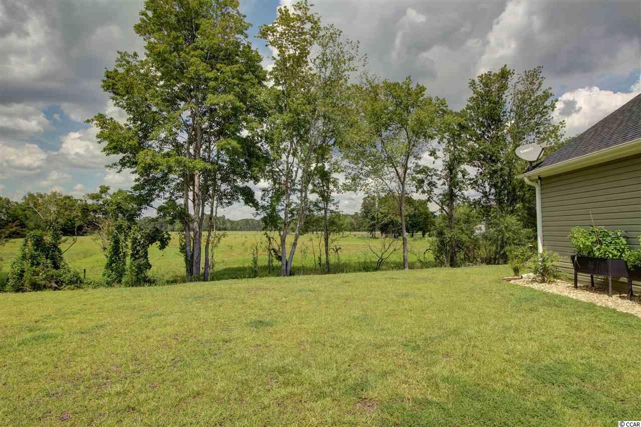 564 Irees Way Longs, SC 29568 - Photo 18 of 19 Gallery Image 18