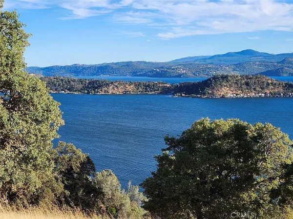 a view of empty space with trees