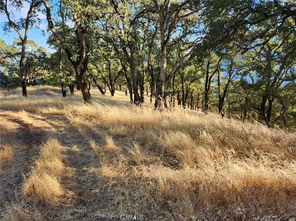 $150,000 | 9500 Glenhaven Drive, Clearlake Oaks, CA 95423