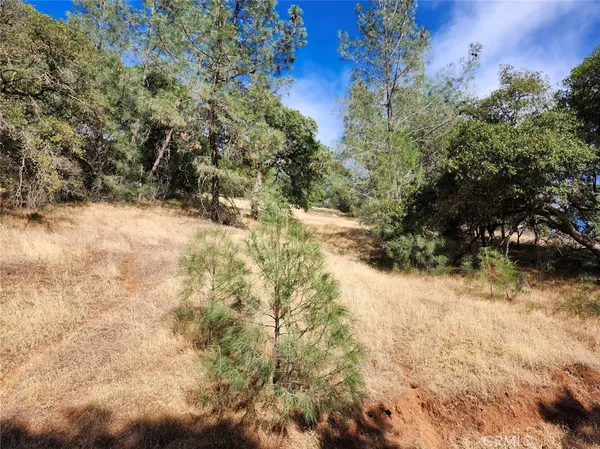 a view of a yard covered in snow