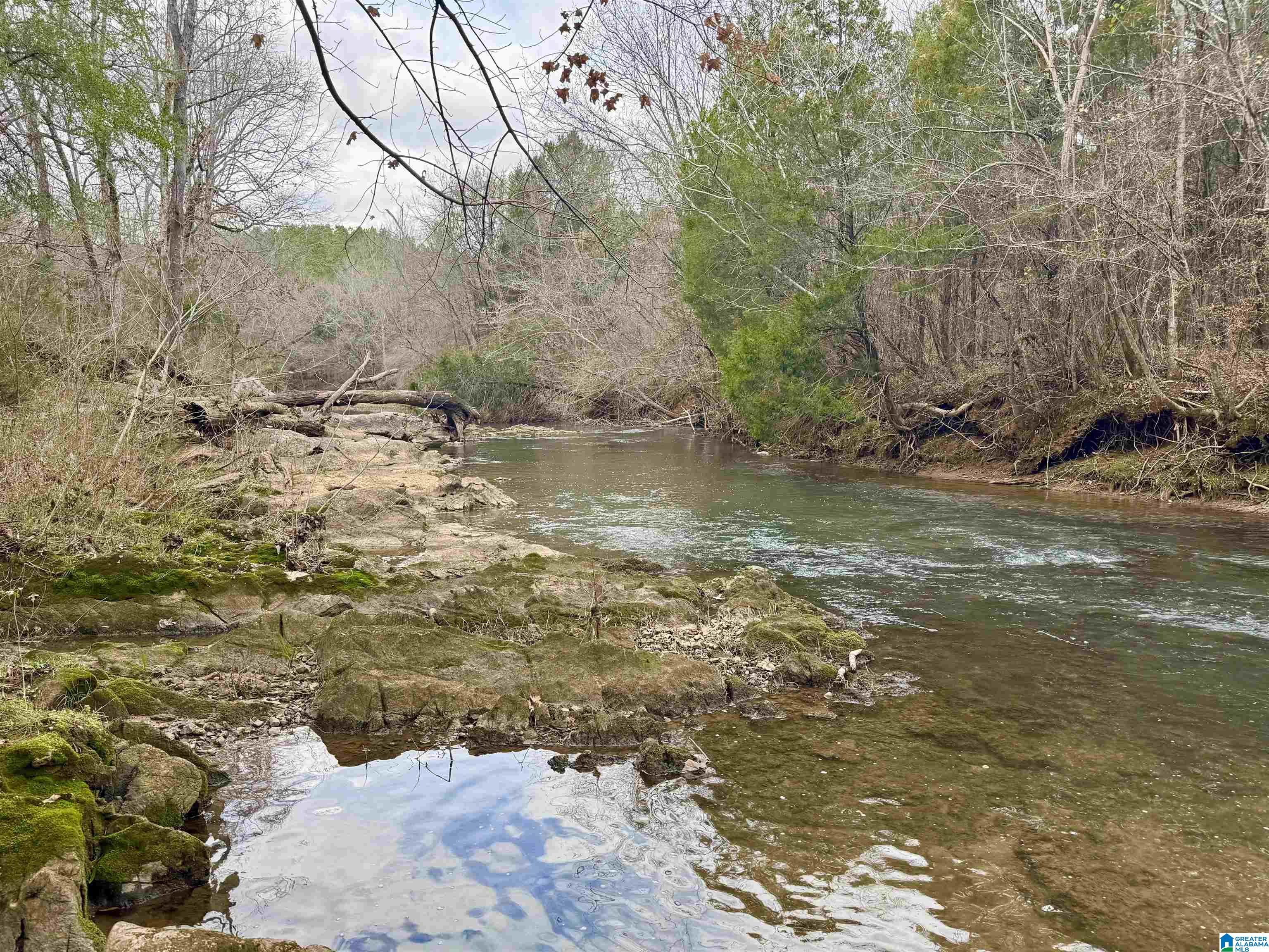 576 Gunlock Street Montevallo, AL 35115 - Photo 3 of 76