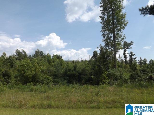 0 Shoal Creek Road Ashville, AL 35953 - Photo 5 of 25