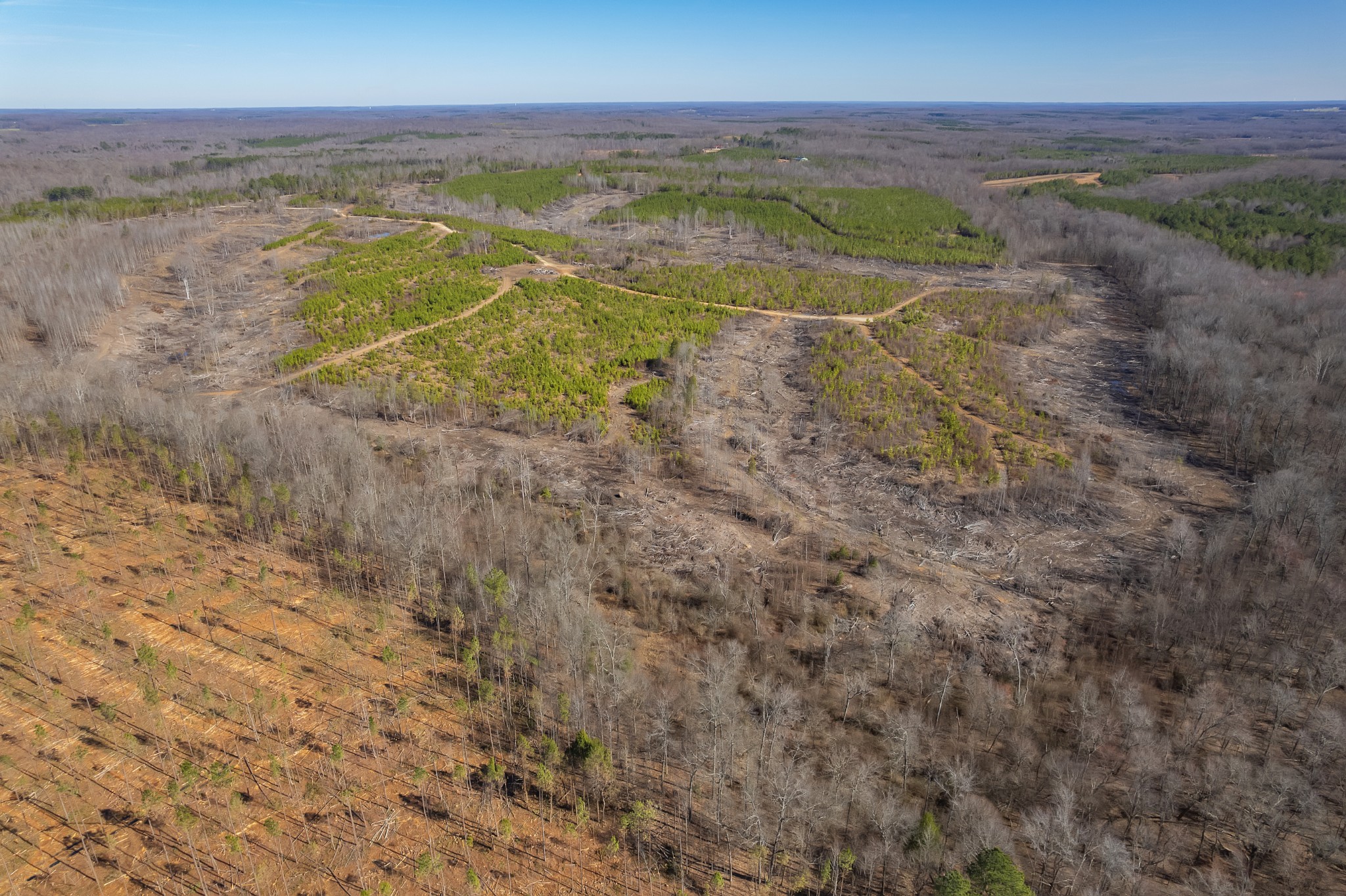 0 Haglersville Road Mansfield, TN 38236 - Photo 14 of 19