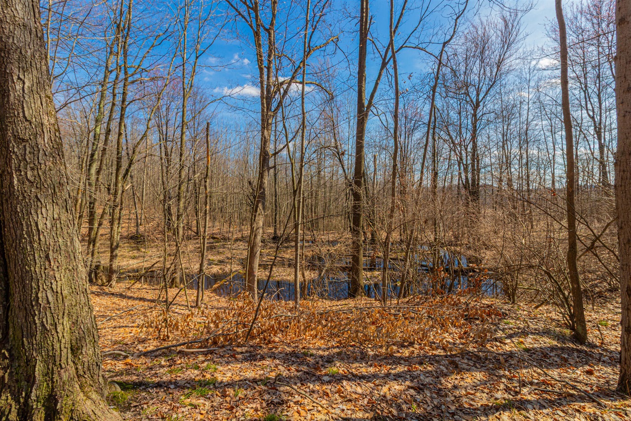 17 17 Mile Road Lakeview, MI 48850 - Photo 18 of 36