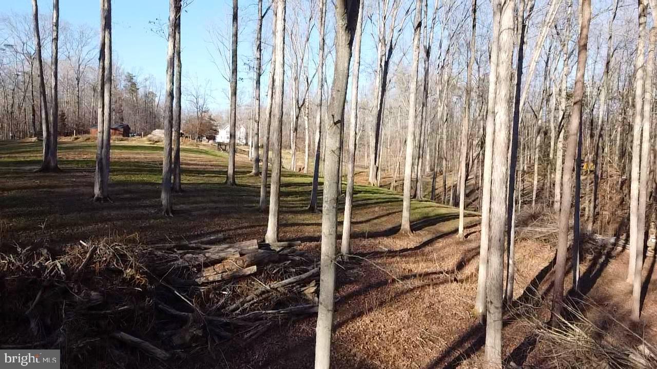 215 Old Cropps Mill Road Fredericksburg, VA 22406 - Photo 14 of 15 View From Back Of Property Looking @ Home