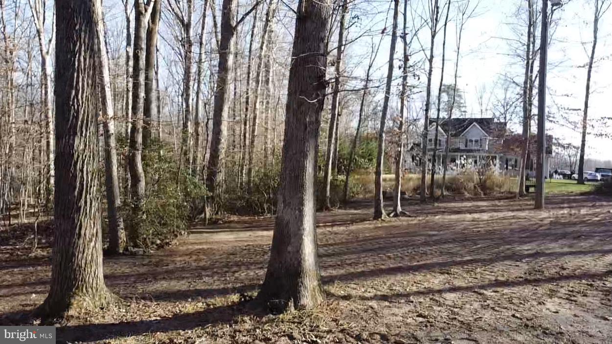 215 Old Cropps Mill Road Fredericksburg, VA 22406 - Photo 4 of 15 Gallery Image 4