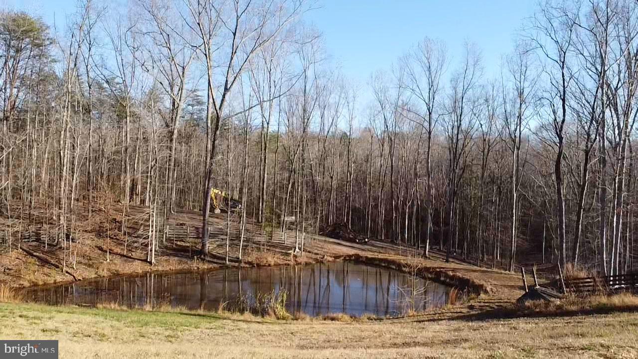 215 Old Cropps Mill Road Fredericksburg, VA 22406 - Photo 8 of 15 Private Pond