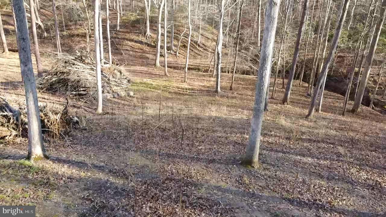 215 Old Cropps Mill Road Fredericksburg, VA 22406 - Photo 9 of 15 View Looking Toward Creek