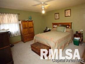 776 East Shoe Fly Road Avon, IL 61415 - Photo 8 of 32
