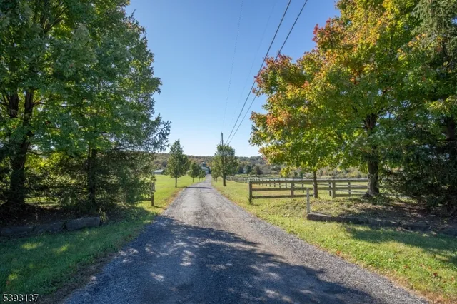 a view of park with large trees