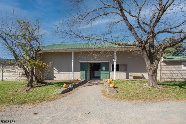 a view of a house with backyard and a tree