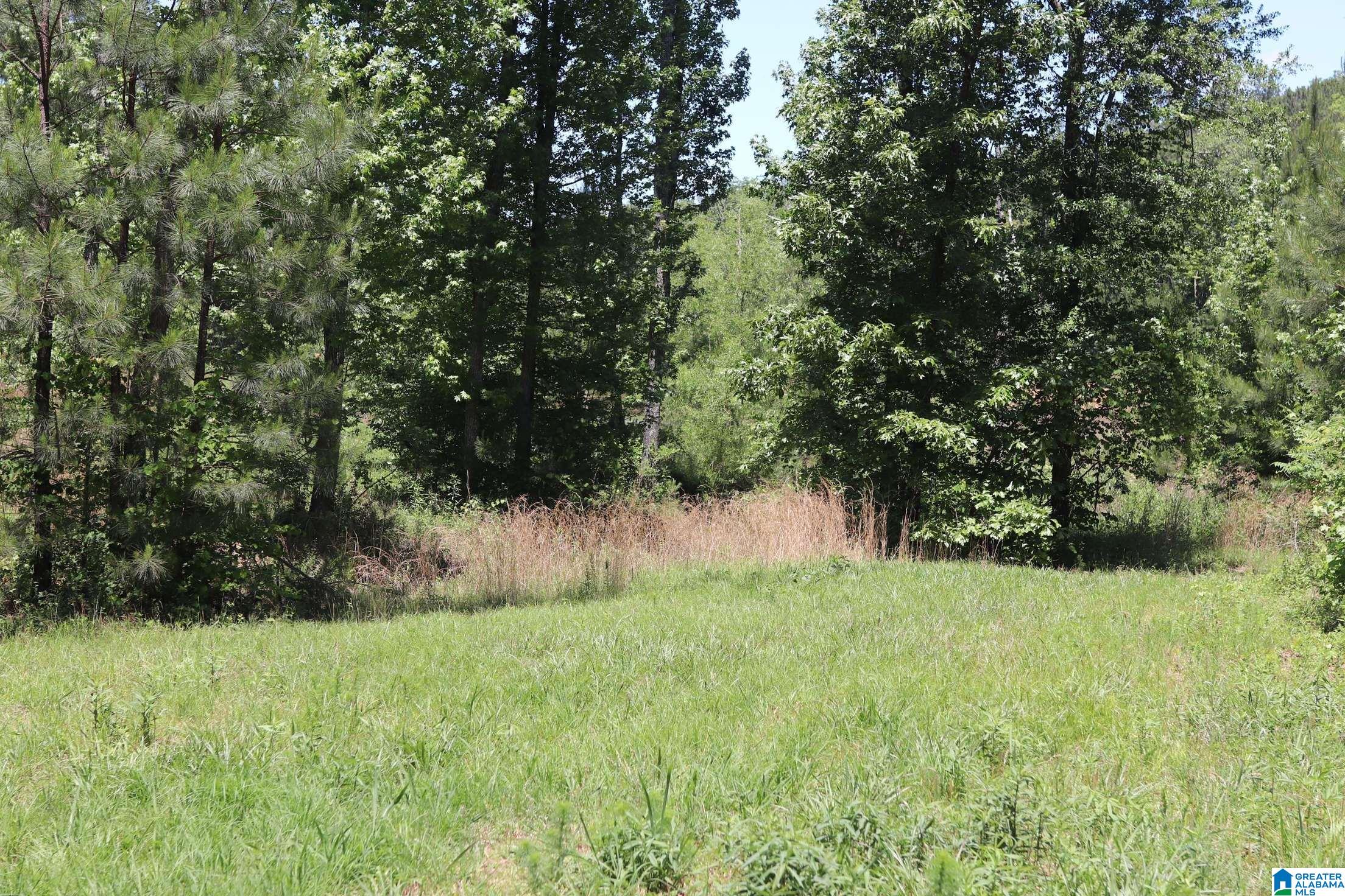 2930 Shocco Springs Road Talladega, AL 35160 - Photo 26 of 93