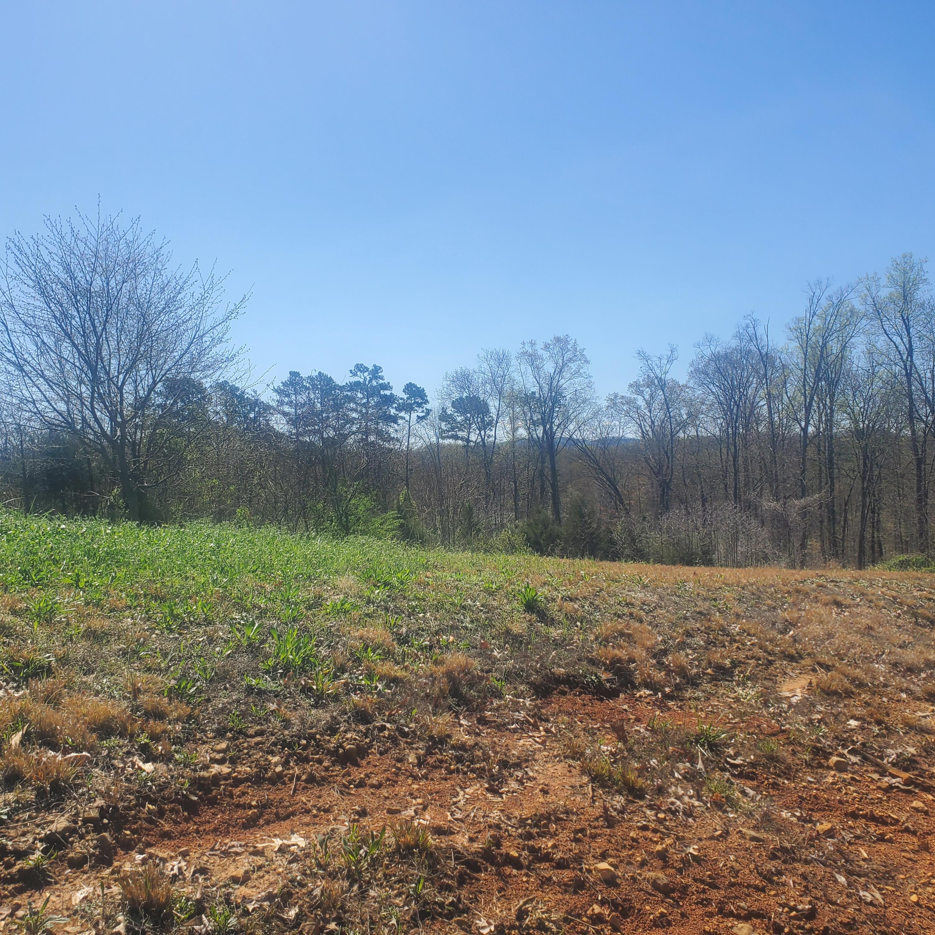 Lot 143 Tumbleweed Trail, Unit 143 Rutledge, TN 37861 - Photo 1 of 30 1