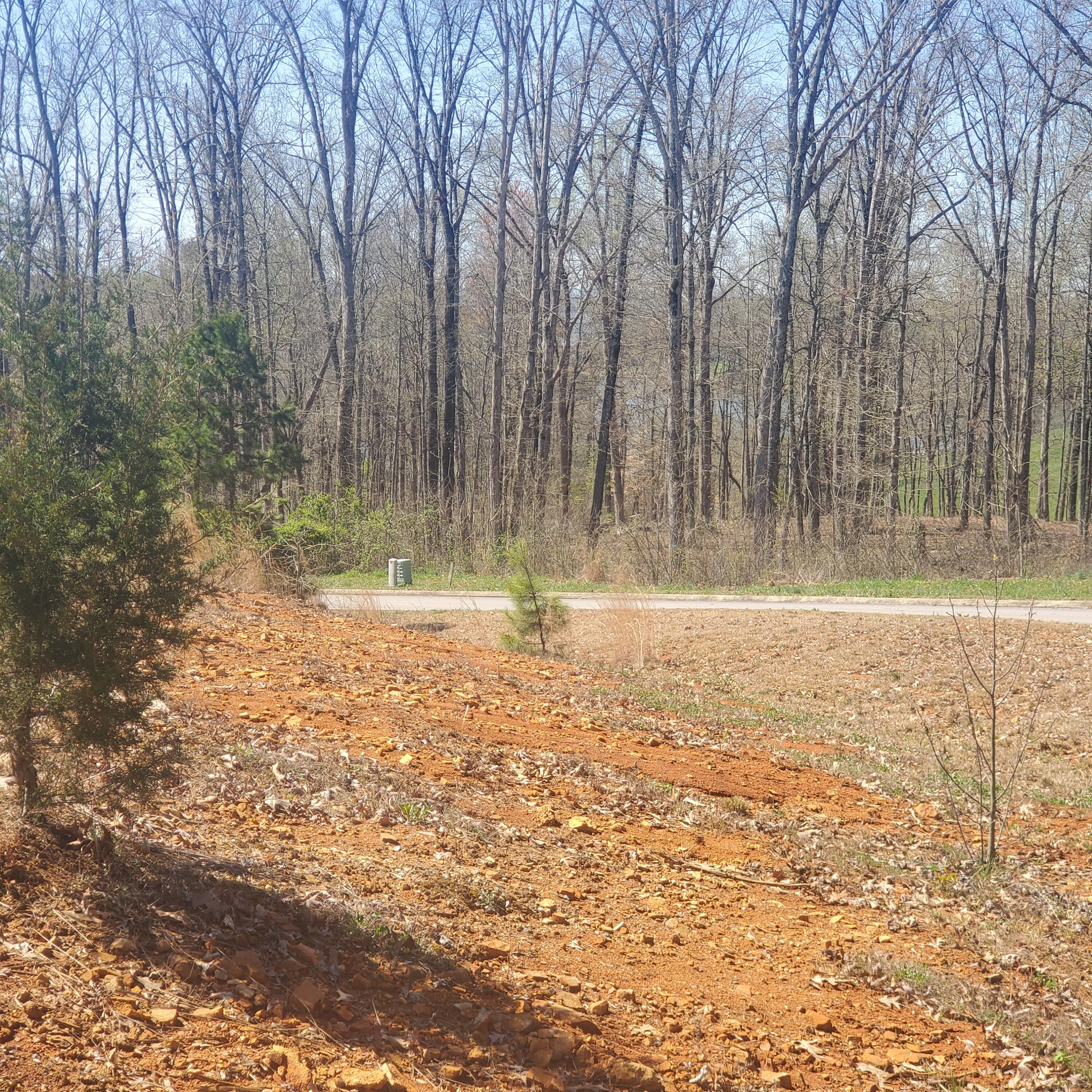 Lot 143 Tumbleweed Trail, Unit 143 Rutledge, TN 37861 - Photo 11 of 30 11
