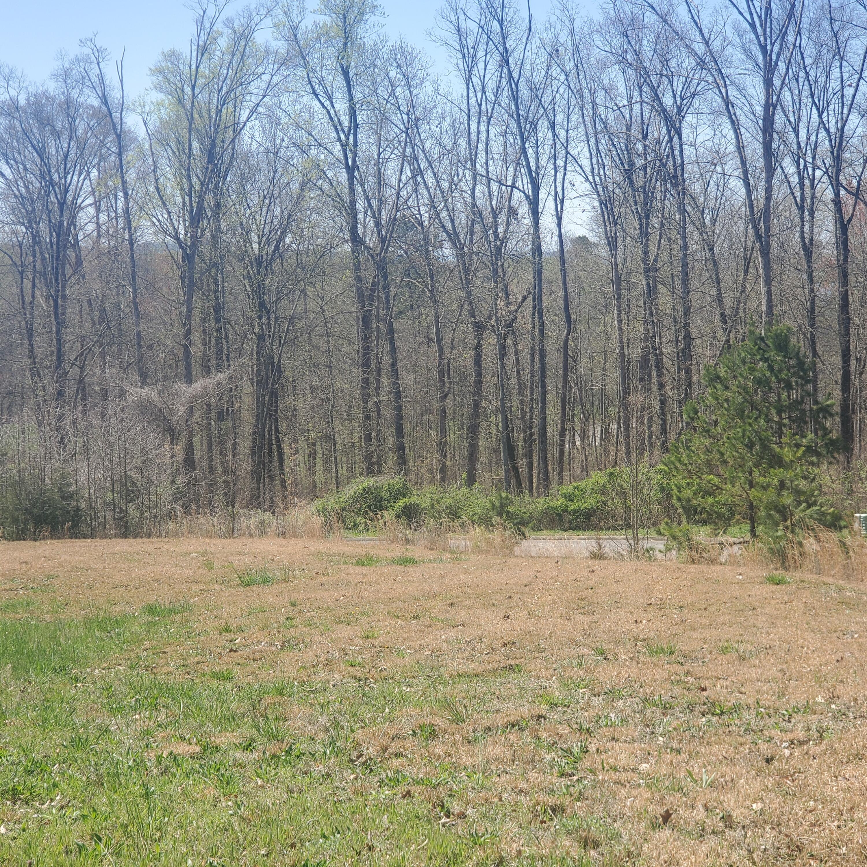 Lot 143 Tumbleweed Trail, Unit 143 Rutledge, TN 37861 - Photo 12 of 30 12