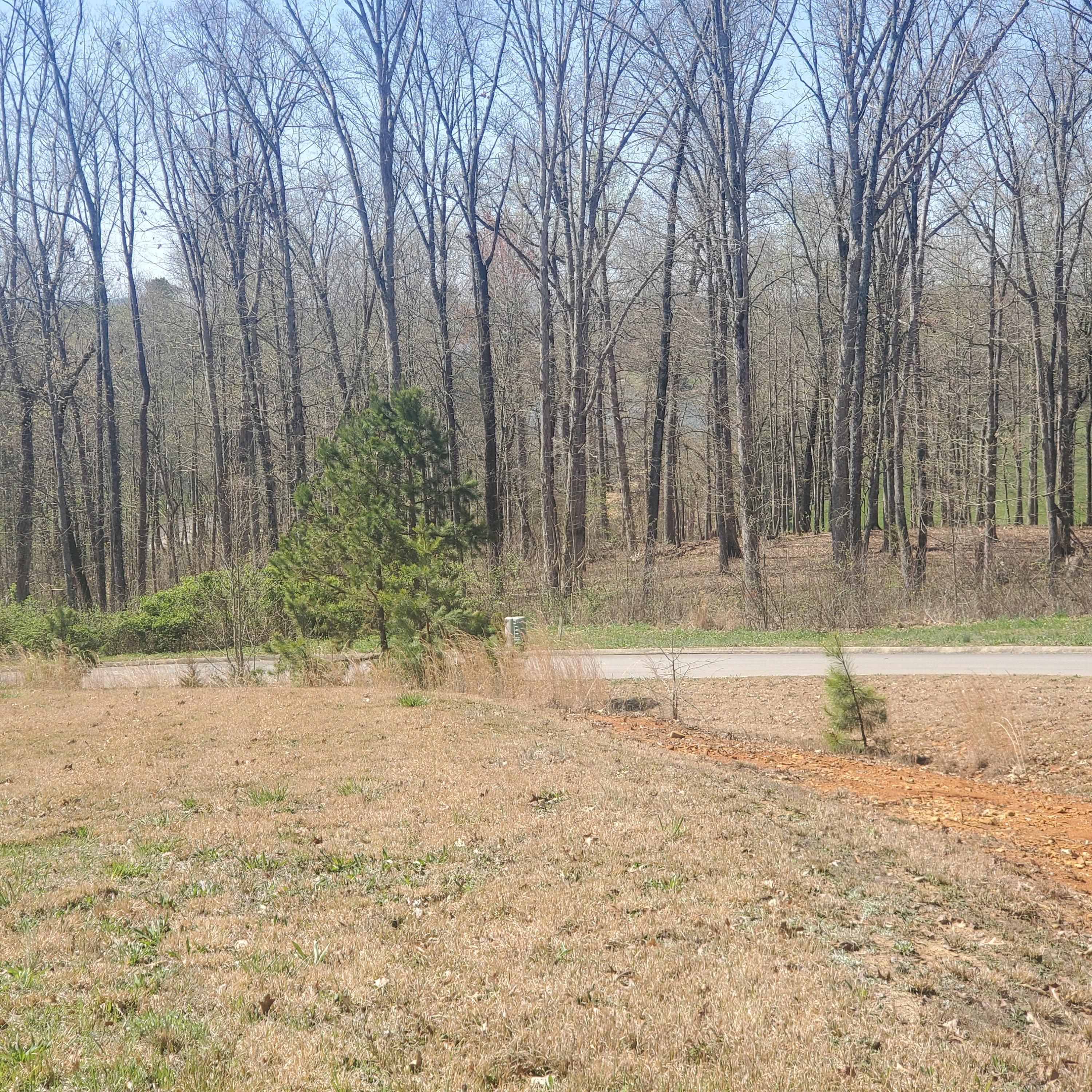 Lot 143 Tumbleweed Trail, Unit 143 Rutledge, TN 37861 - Photo 13 of 30 13