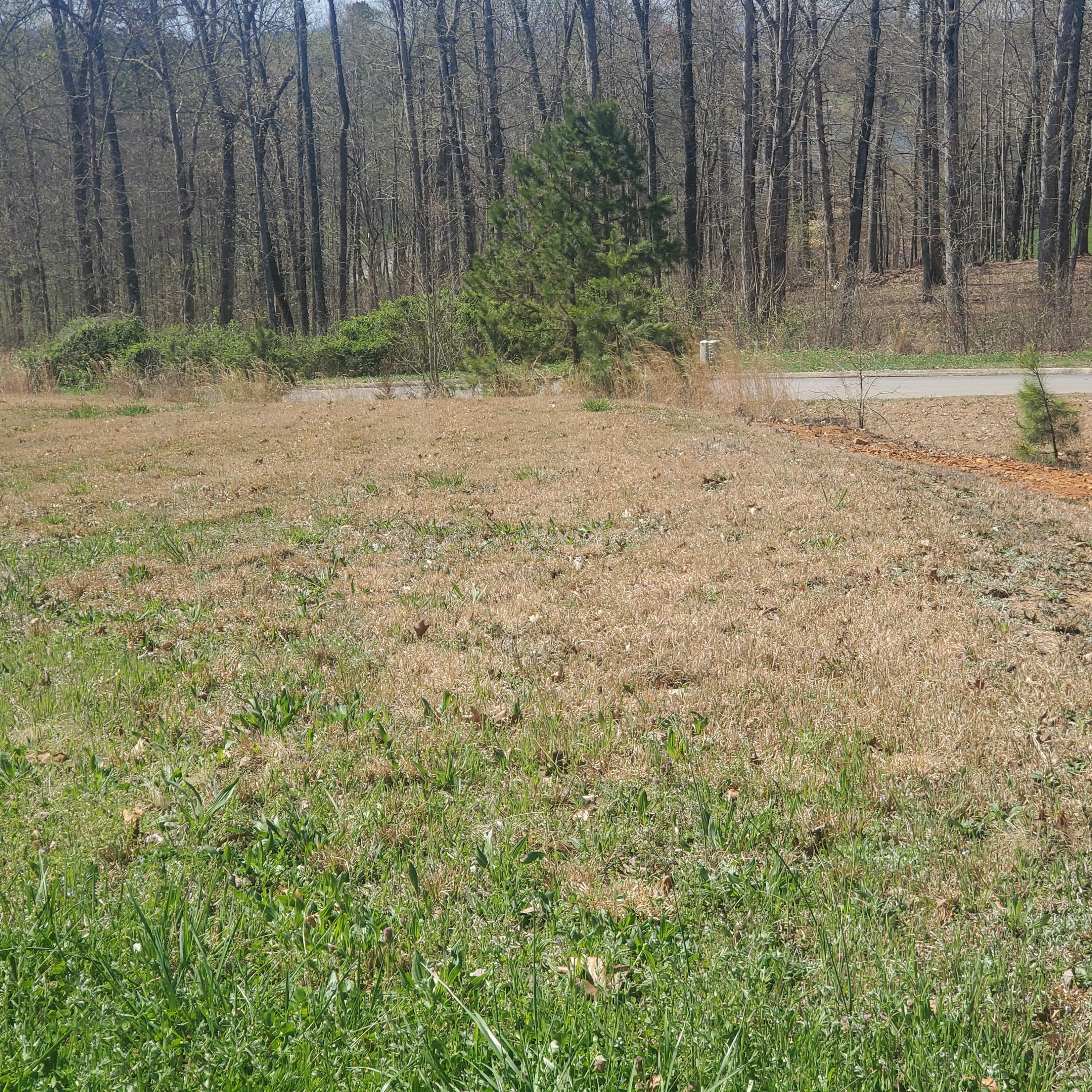 Lot 143 Tumbleweed Trail, Unit 143 Rutledge, TN 37861 - Photo 14 of 30 14