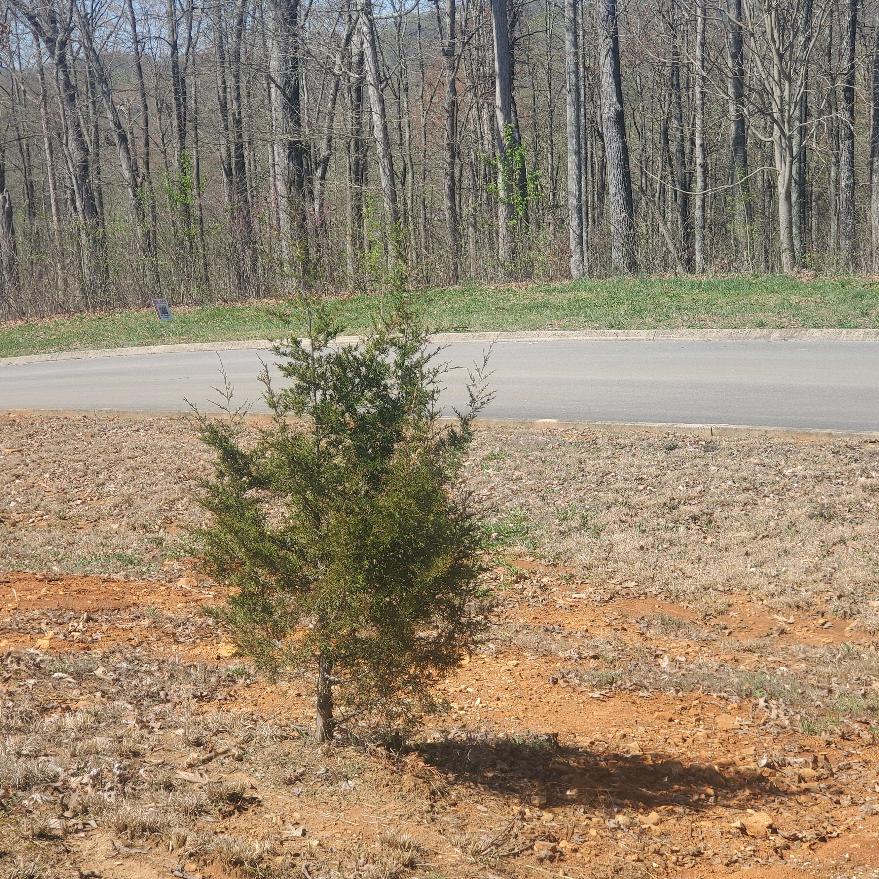 Lot 143 Tumbleweed Trail, Unit 143 Rutledge, TN 37861 - Photo 15 of 30 15