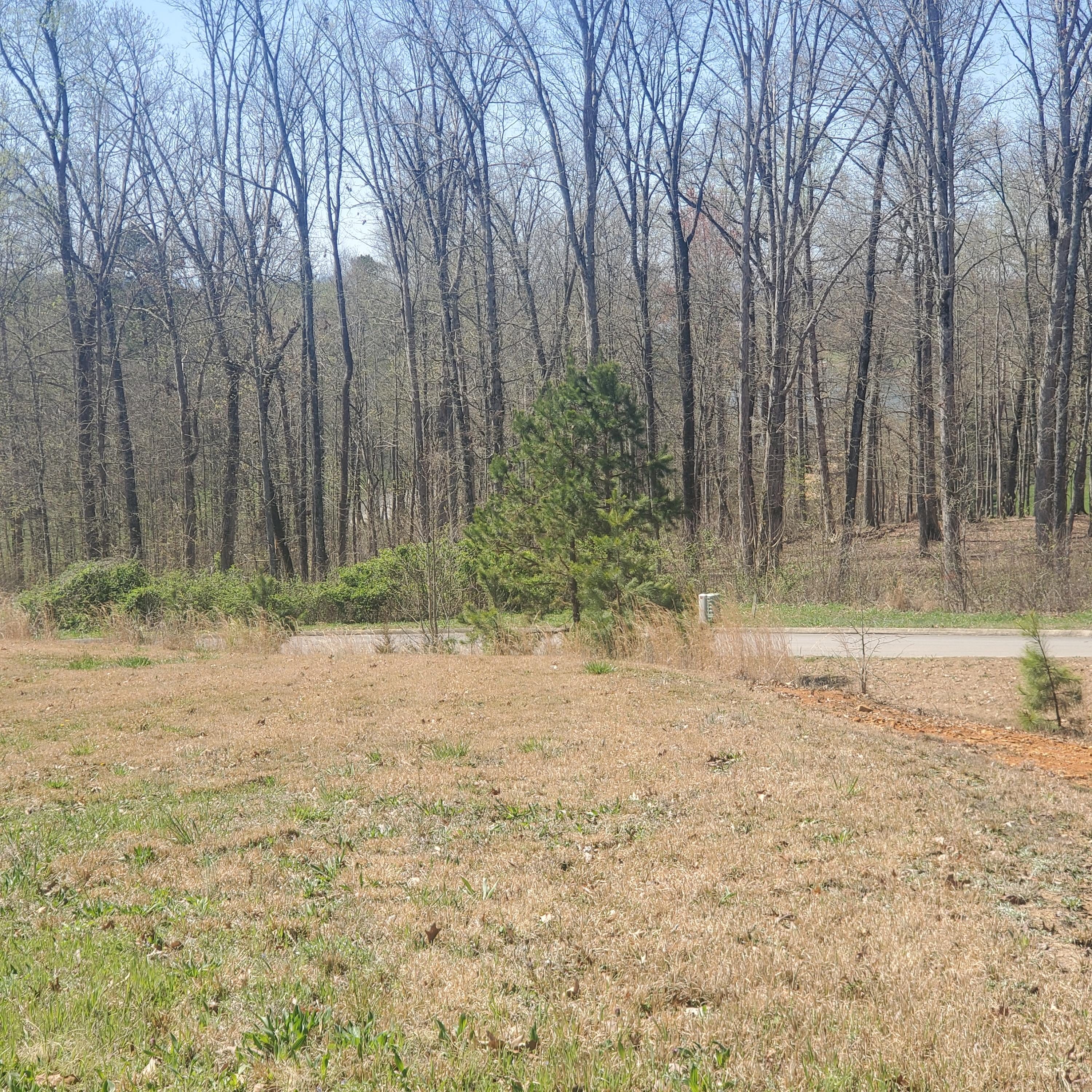 Lot 143 Tumbleweed Trail, Unit 143 Rutledge, TN 37861 - Photo 16 of 30 16