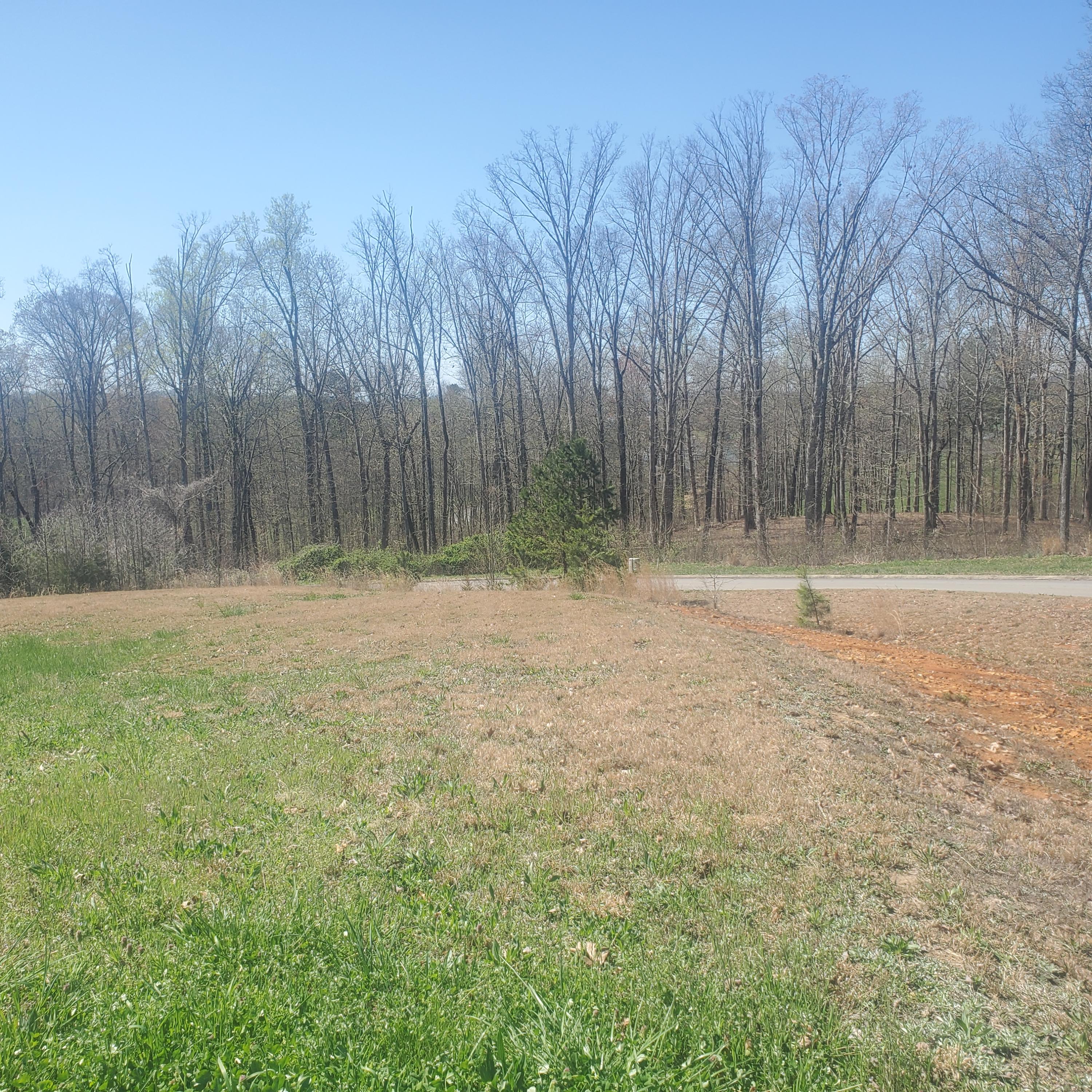 Lot 143 Tumbleweed Trail, Unit 143 Rutledge, TN 37861 - Photo 17 of 30 17
