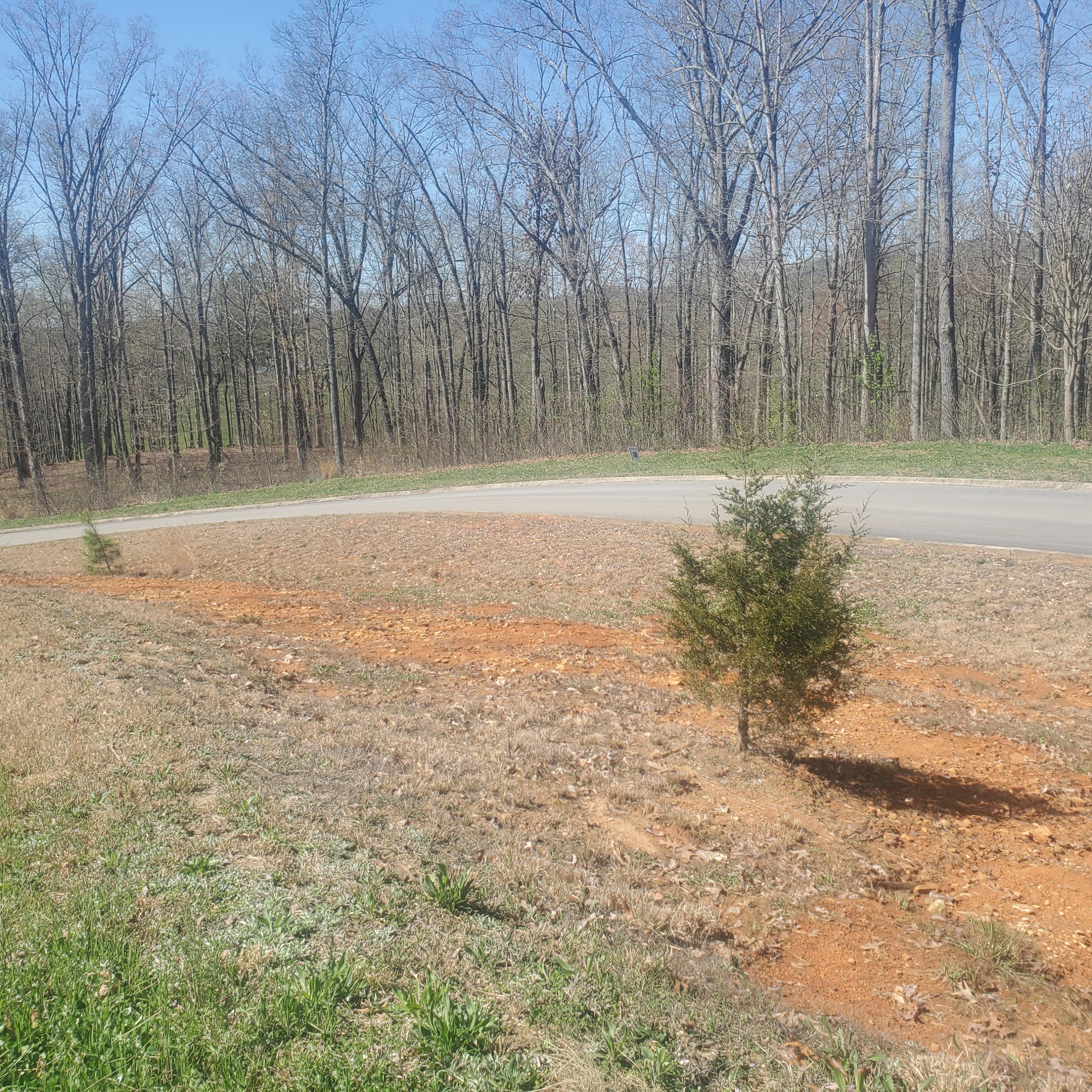 Lot 143 Tumbleweed Trail, Unit 143 Rutledge, TN 37861 - Photo 18 of 30 18