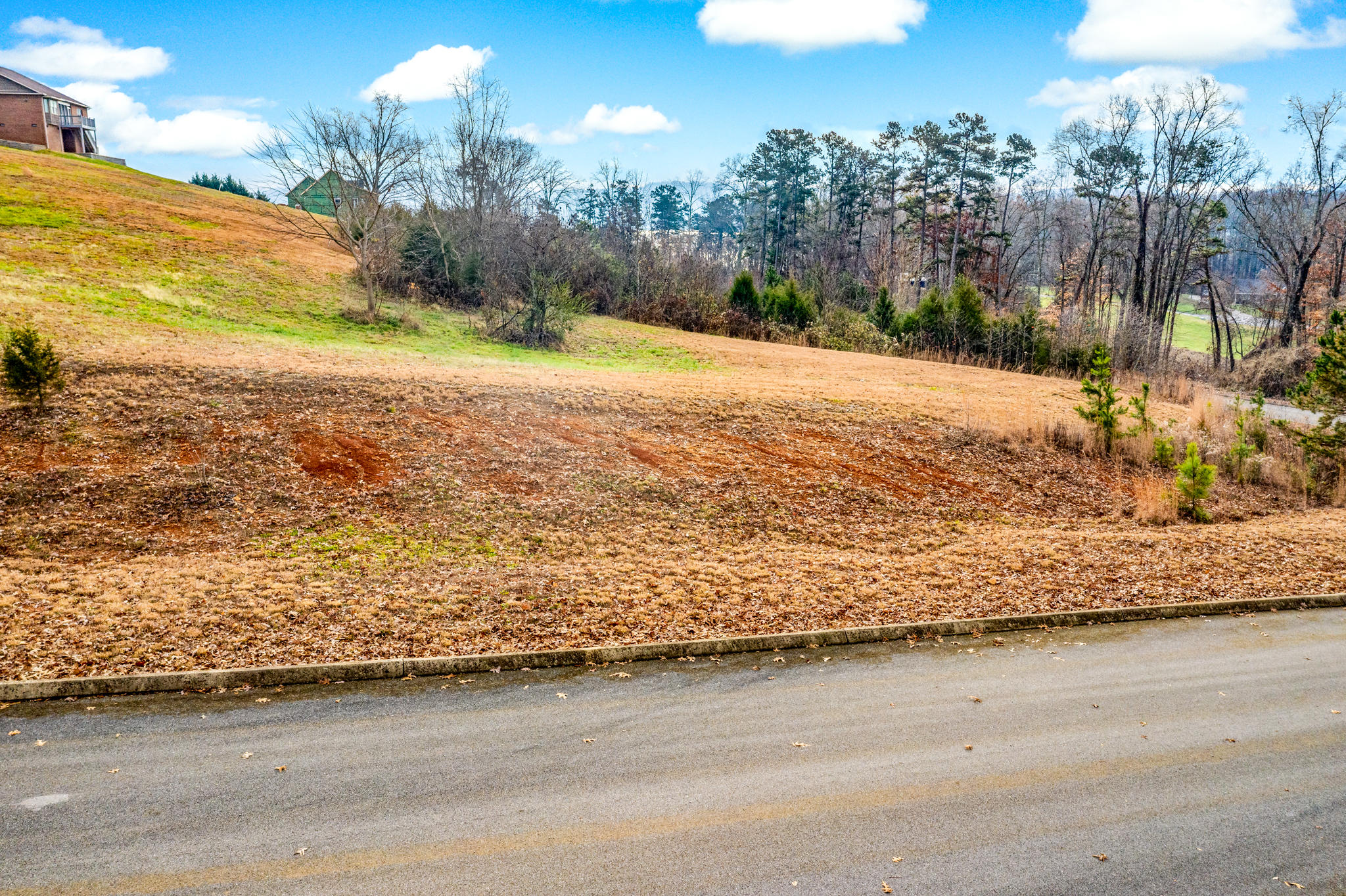 Lot 143 Tumbleweed Trail, Unit 143 Rutledge, TN 37861 - Photo 2 of 30 2