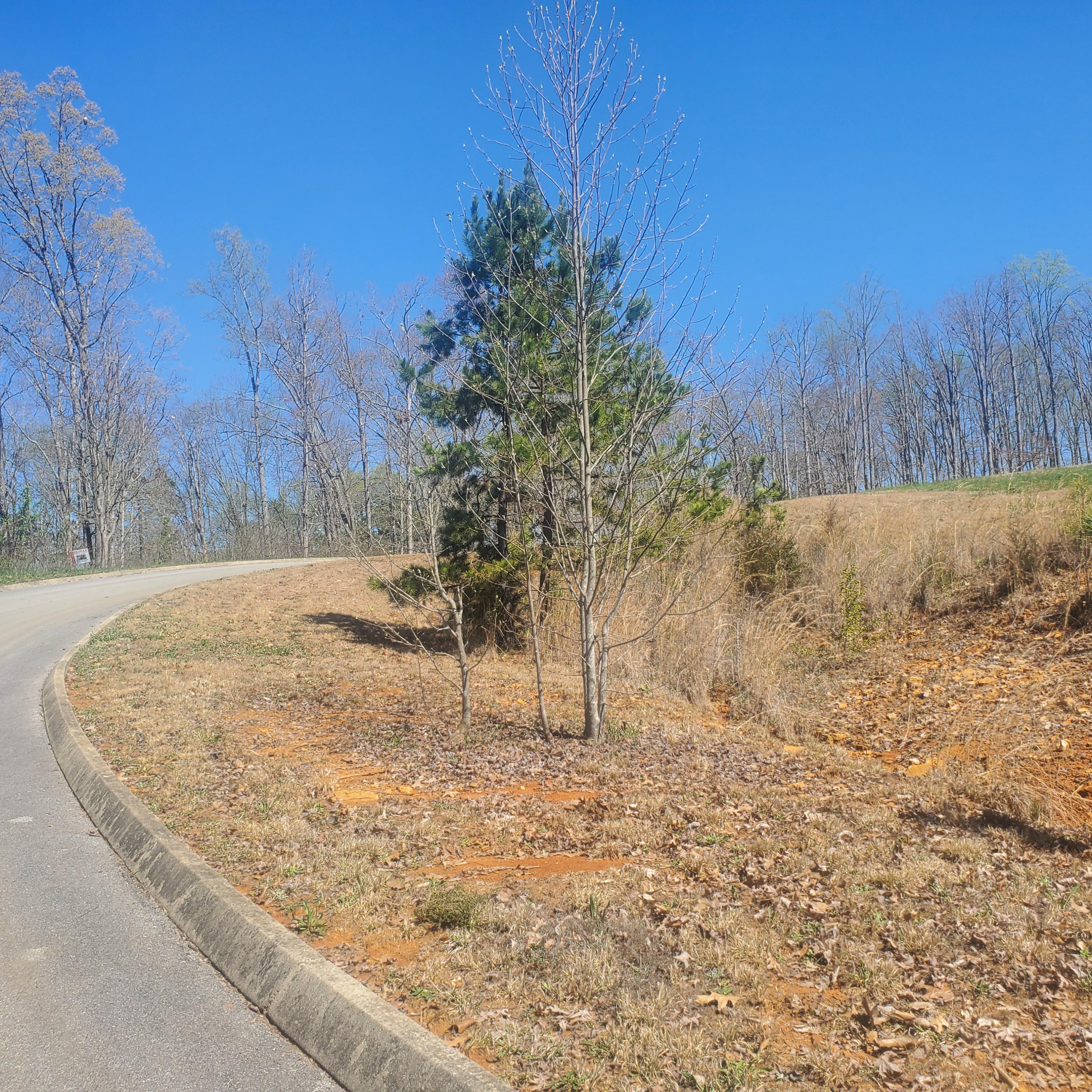 Lot 143 Tumbleweed Trail, Unit 143 Rutledge, TN 37861 - Photo 6 of 30 6