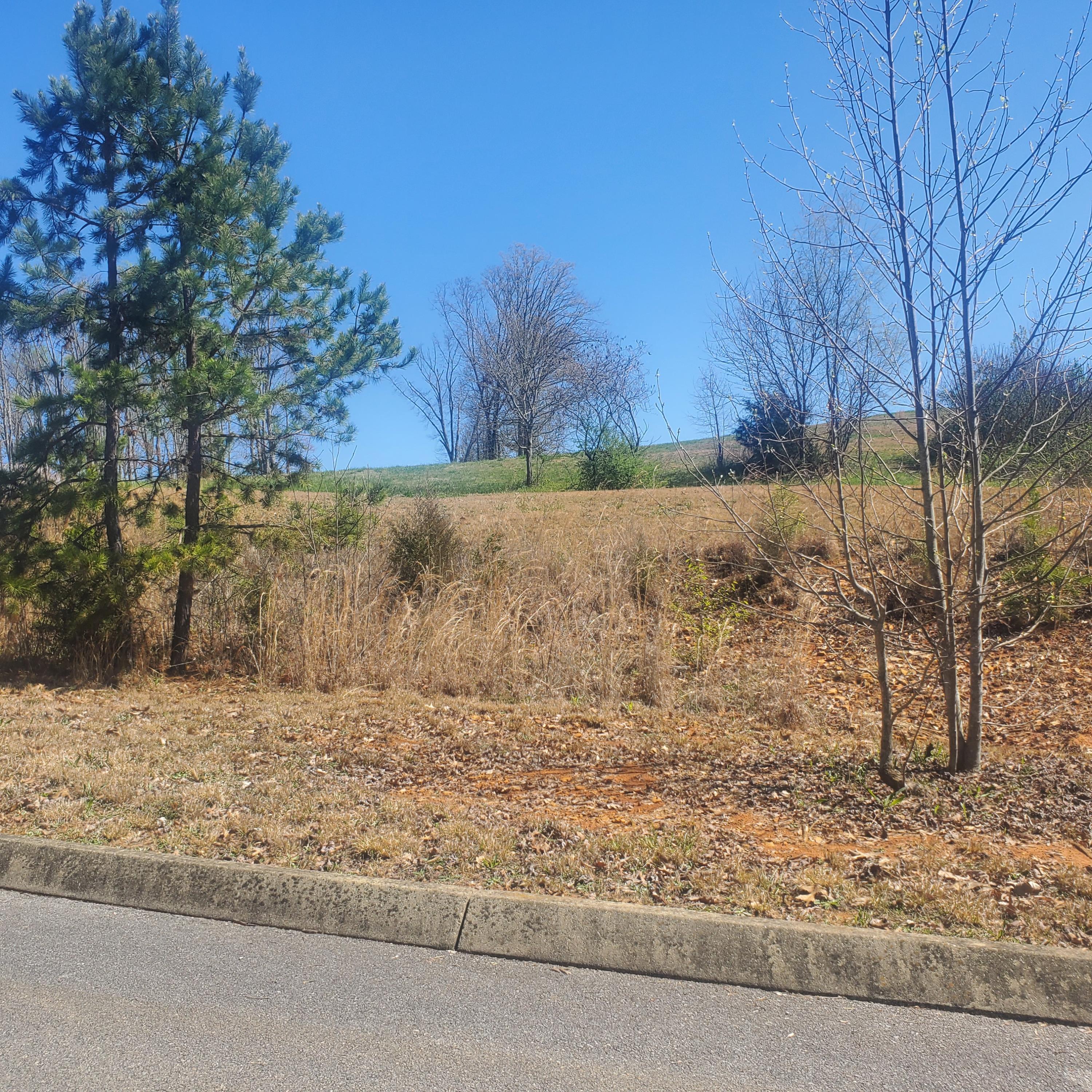 Lot 143 Tumbleweed Trail, Unit 143 Rutledge, TN 37861 - Photo 8 of 30 8