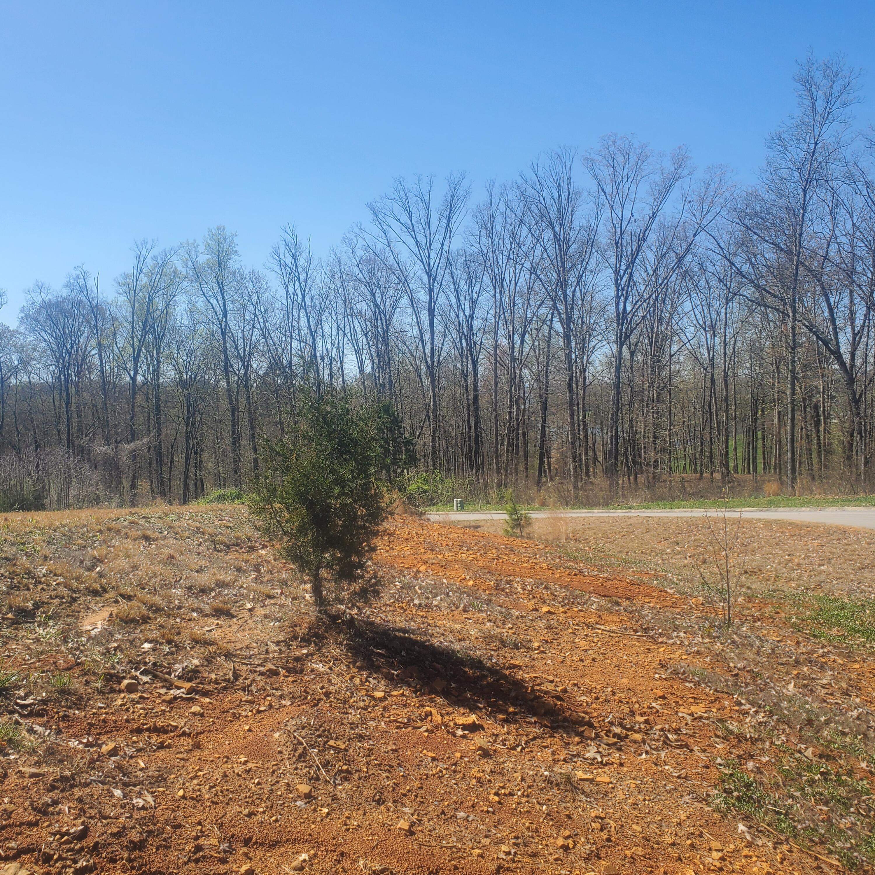 Lot 143 Tumbleweed Trail, Unit 143 Rutledge, TN 37861 - Photo 9 of 30 9