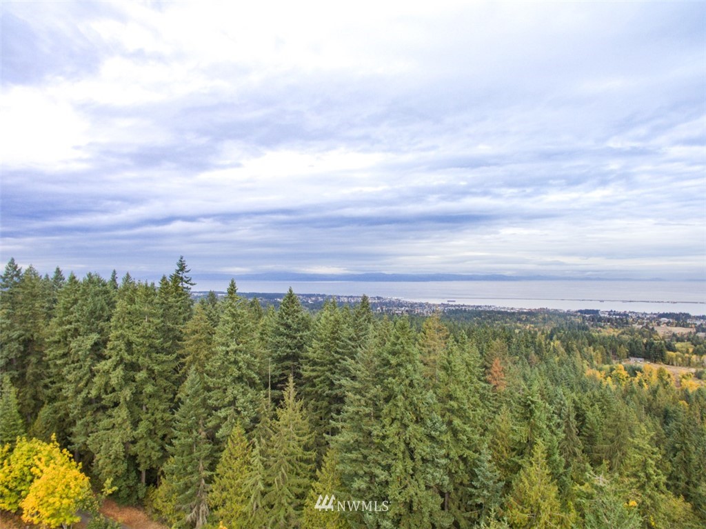 832 East Angeles Ridge Road Port Angeles, WA 98362 - Photo 2 of 25 Gallery Image 2