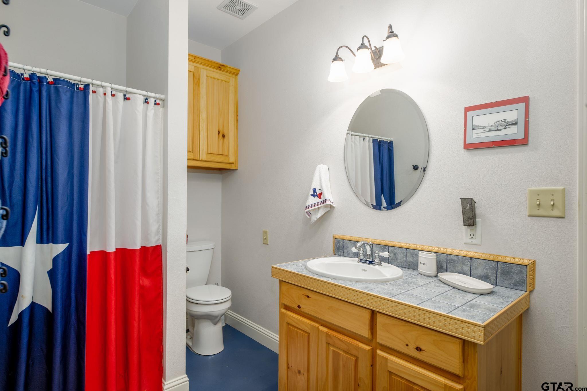 12450 County Road 420 Tyler, TX 75704 - Photo 42 of 48 a bathroom with a toilet a sink and a mirror