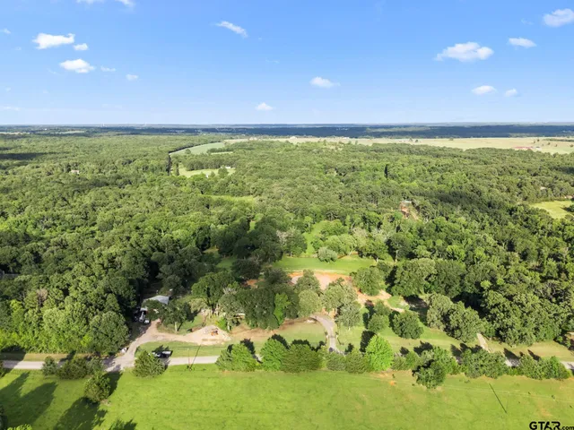 a view of yard with green space