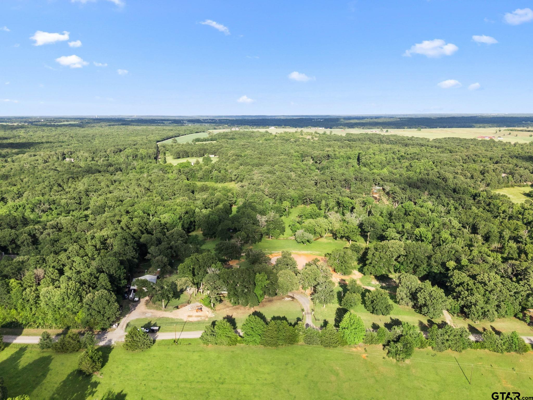 12450 County Road 420 Tyler, TX 75704 - Photo 44 of 48 a view of yard with green space