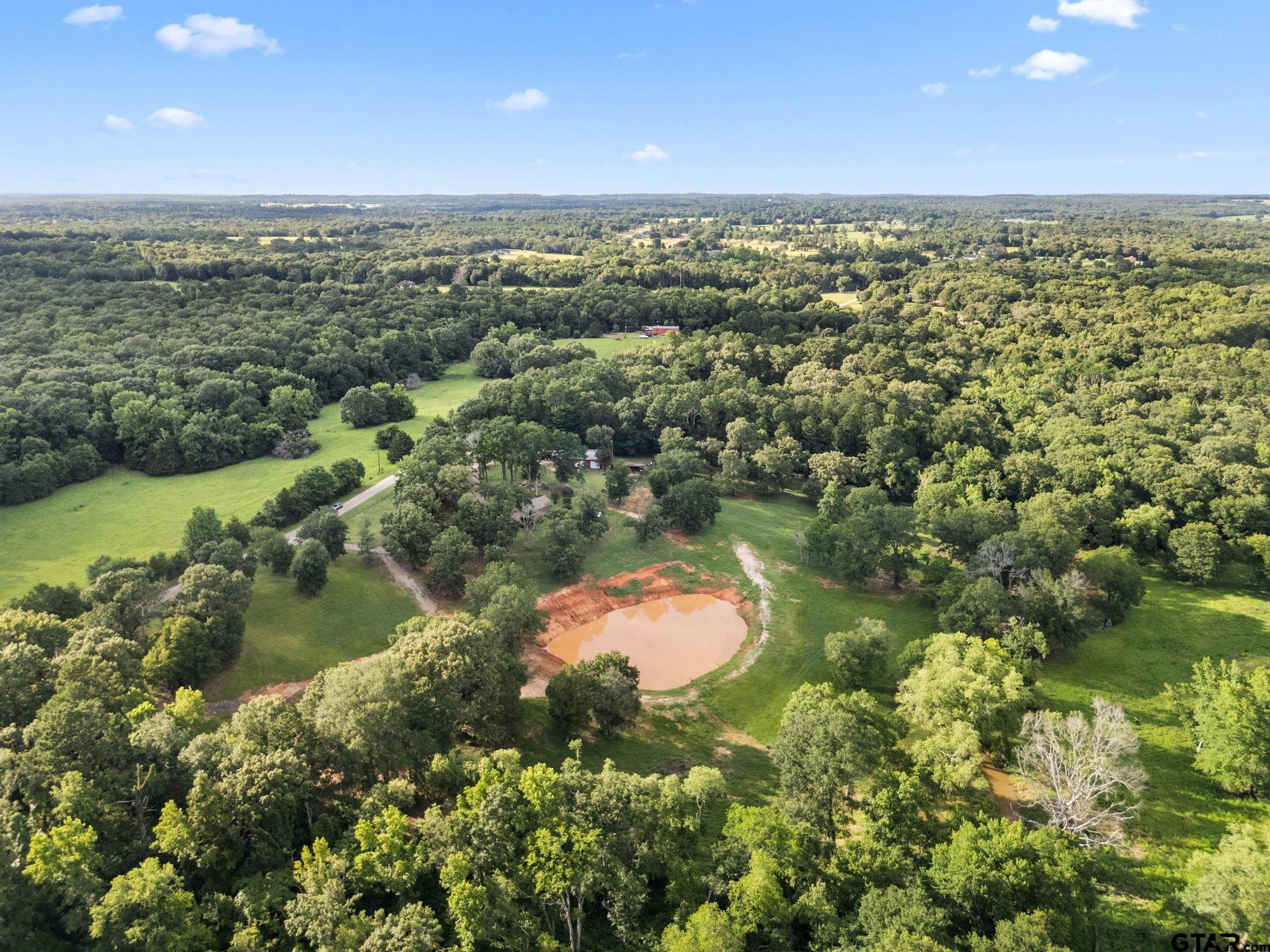 12450 County Road 420 Tyler, TX 75704 - Photo 45 of 48 an aerial view of residential houses with outdoor space and trees