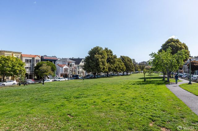a view of a garden with plants