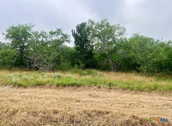 $59,999 | Lot 8 Wisteria Lane, Nixon, TX 78140